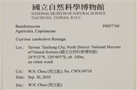 登錄號:F0037760藏品圖，第2張