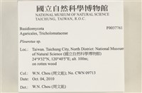 登錄號:F0037761藏品圖，第2張