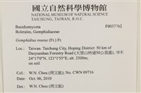 登錄號:F0037762藏品圖，第2張