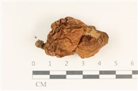 登錄號:F0037765藏品圖，第1張