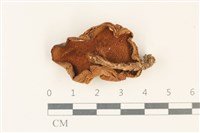 登錄號:F0037765藏品圖，第3張