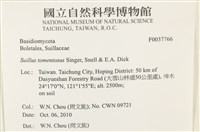 登錄號:F0037766藏品圖，第2張
