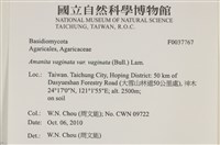 登錄號:F0037767藏品圖，第2張