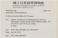 登錄號:F0037768藏品圖，第2張