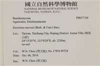 登錄號:F0037769藏品圖，第2張