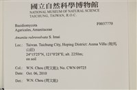 登錄號:F0037770藏品圖，第2張