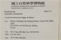 登錄號:F0037771藏品圖，第2張
