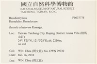 登錄號:F0037775藏品圖，第2張