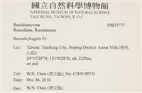 登錄號:F0037777藏品圖，第2張
