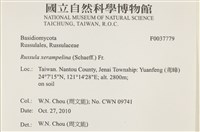 登錄號:F0037779藏品圖，第2張