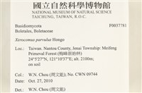 登錄號:F0037781藏品圖，第2張