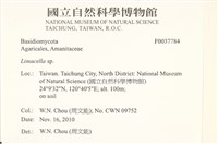 登錄號:F0037784藏品圖，第2張