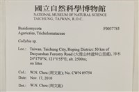 登錄號:F0037785藏品圖，第2張