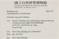 登錄號:F0037787藏品圖，第2張