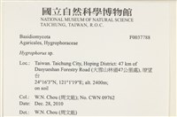 登錄號:F0037788藏品圖，第2張