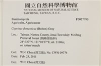 登錄號:F0037790藏品圖，第2張