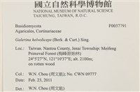 登錄號:F0037791藏品圖，第2張
