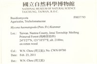 登錄號:F0037793藏品圖，第2張