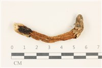 登錄號:F0037795藏品圖，第1張