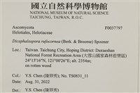 登錄號:F0037797藏品圖，第2張