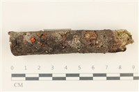 登錄號:F0037797藏品圖，第1張