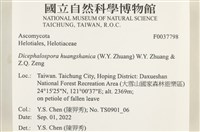 登錄號:F0037798藏品圖，第2張