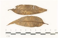 登錄號:F0037798藏品圖，第1張