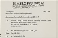 登錄號:F0037799藏品圖，第2張