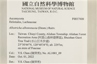 館號:F0037800藏品圖，第2張