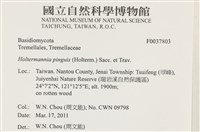 登錄號:F0037803藏品圖，第2張