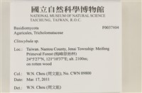登錄號:F0037804藏品圖，第2張