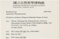 登錄號:F0037809藏品圖，第2張