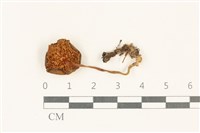 登錄號:F0037809藏品圖，第3張