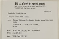 登錄號:F0037810藏品圖，第2張