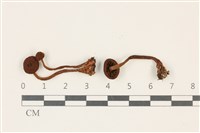 登錄號:F0037813藏品圖，第1張
