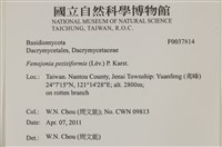 登錄號:F0037814藏品圖，第2張