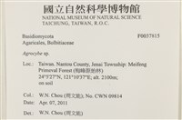 登錄號:F0037815藏品圖，第2張