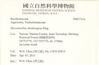 登錄號:F0037816藏品圖，第2張