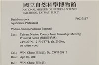 登錄號:F0037817藏品圖，第2張