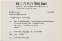 登錄號:F0037820藏品圖，第2張
