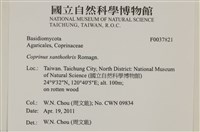 登錄號:F0037821藏品圖，第2張