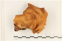 登錄號:F0037825藏品圖，第1張
