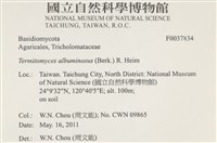 登錄號:F0037834藏品圖，第2張