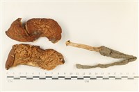 登錄號:F0037834藏品圖，第1張