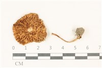 登錄號:F0037837藏品圖，第3張