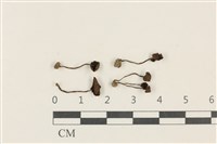 登錄號:F0037840藏品圖，第1張