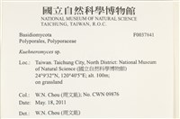 登錄號:F0037841藏品圖，第2張