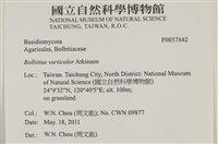 登錄號:F0037842藏品圖，第2張