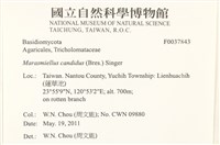 登錄號:F0037843藏品圖，第2張