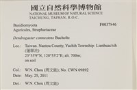 登錄號:F0037846藏品圖，第2張